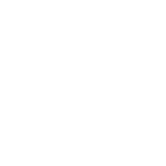 feature-icon