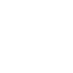 feature-icon