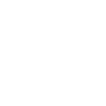 feature-icon