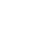 feature-icon