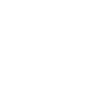 feature-icon